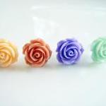 Choose Your Spring Flower S..